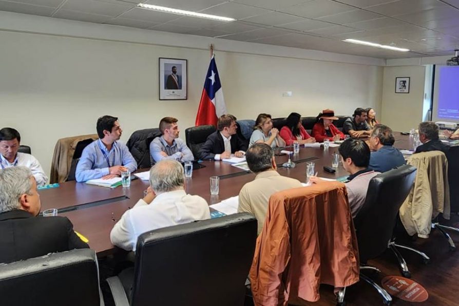 Delegado Presidencial junto a Multigremial, Corparaucanía y gremios dan inicio a mesa público privada para atraer inversiones