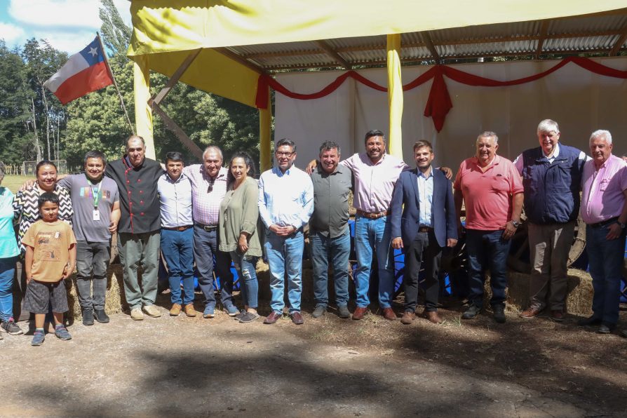DELEGADO PRESIDENCIAL JOSÉ MONTALVA DESTACÓ APORTE DE LA FERIA COSTUMBRISTA LLIU LLIU DE VILLARRICA A LA REACTIVACIÓN DEL COMERCIO LOCAL