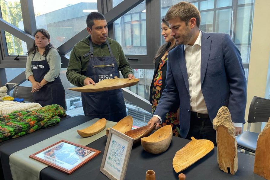 FOSIS ABRIO MAS DE 26 MIL CUPOS PARA EMPRENDER CON UNA INVERSION DE 25 MIL MILLONES DE PESOS