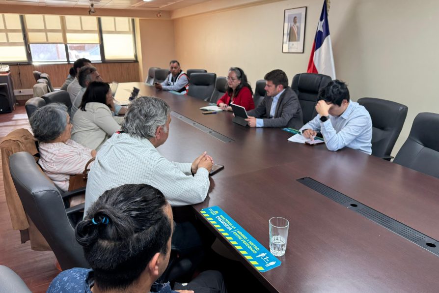 EN MARCHA COORDINACIÓN PARA POSIBLE RETORNO DE EXCURSIONES AL VOLCÁN VILLARRICA