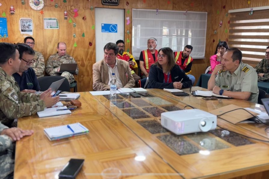 AUTORIDADES REFUERZAN MEDIDAS PREVENTIVAS TRAS DECLARARSE ALERTA AMARILLA POR CALOR INTENSO EN LA ARAUCANÍA