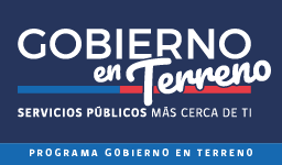 Gobierno en Terreno