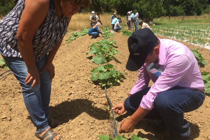 Aumentan los proyectos hídricos liderados por mujeres en La Araucanía