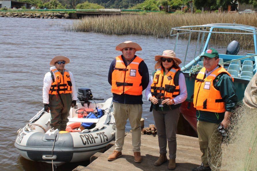 Inician Plan de Prevención y Vigilancia adicional de Influenza Aviar en La Araucanía