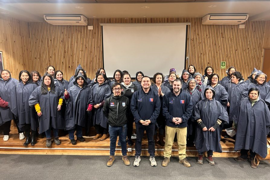 DPR Araucanía abre licitación para ejecutar el Programa de Inversión en la Comunidad (PIC) 2026: Foco en empleo protegido y desarrollo local