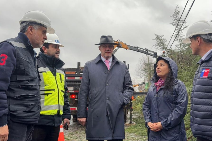 Autoridades del Gobierno se reúnen con empresas eléctricas y recorren podas de vegetación en Padre Las Casas