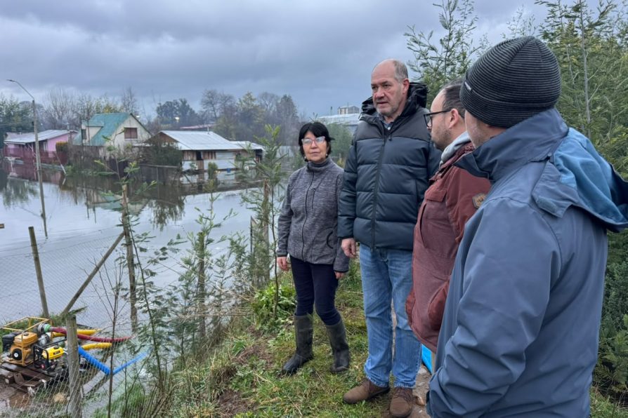 Sistema frontal en La Araucanía: delegado Ljubetic y Seremis recorren comunas para agilizar ayudas